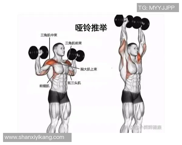 初学者如何有效锻炼三角肌肉的哑铃训练技巧与注意事项