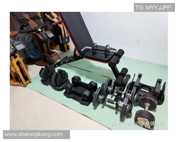 寻找哑铃购买地点的最佳途径和推荐商家信息分享