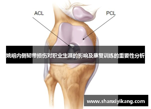 姚明内侧韧带损伤对职业生涯的影响及康复训练的重要性分析