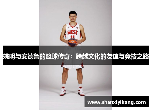 姚明与安德鲁的篮球传奇：跨越文化的友谊与竞技之路