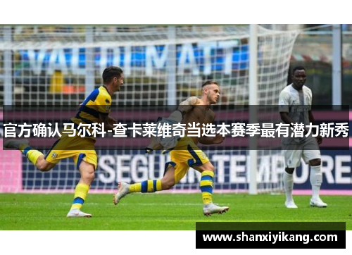 官方确认马尔科-查卡莱维奇当选本赛季最有潜力新秀